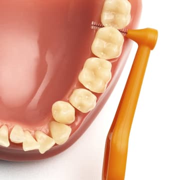 تپه بین دندانی پایه بلند نارنجی- 1 (Angle Orange 01)